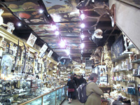 Evolution Store